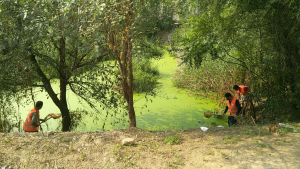 雄安新區(qū)安新縣二標(biāo)段13號坑塘治理進(jìn)度【重點(diǎn)納污坑塘綜合整治項(xiàng)目】